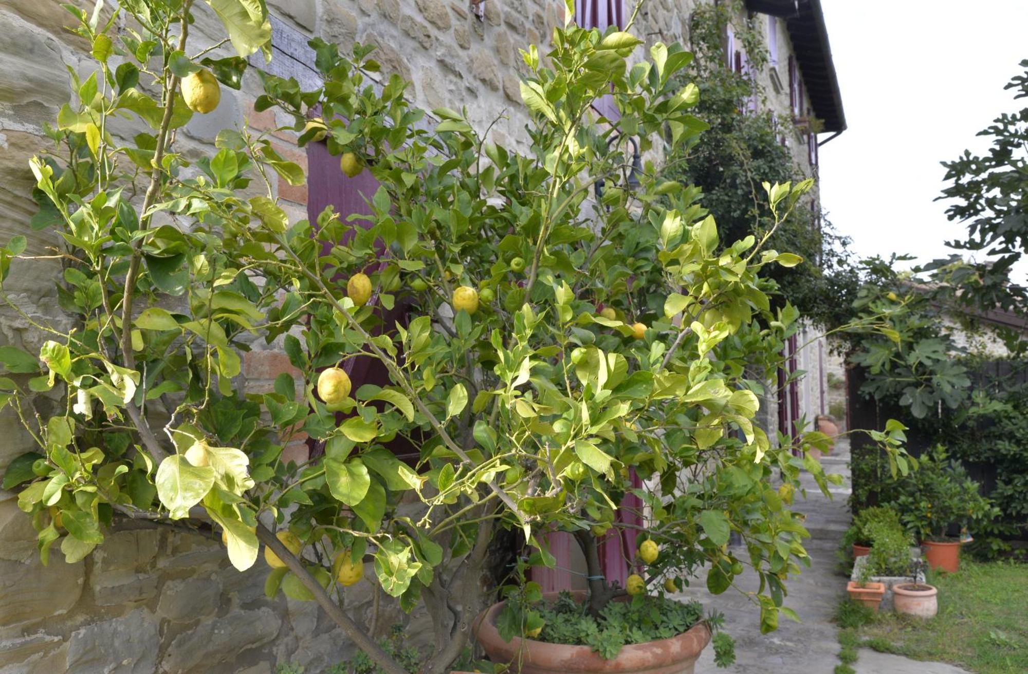 Agriturismo Campo Del Pillo Pietradura Экстерьер фото
